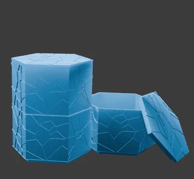 Hexagonal Container (Voroni)