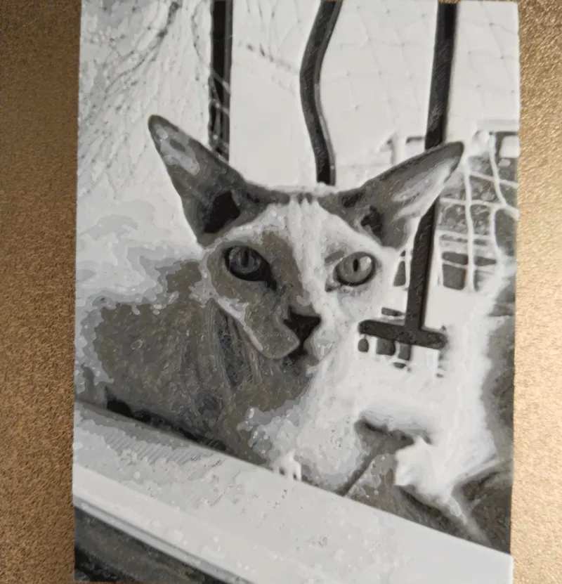 chat sphynx