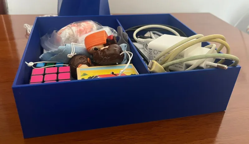 Organizer large