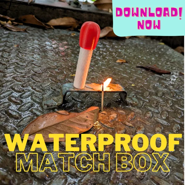 https://makerworld.bblmw.com/makerworld/model/DSM00000000594487/design/2024-08-18_90d8873372db2.png