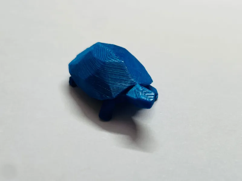 Turtle keychain