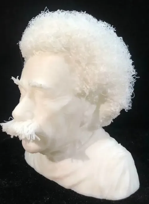 Einstein bust