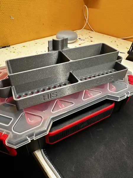 https://makerworld.bblmw.com/makerworld/model/DSM00000000596619/design/2024-08-20_jg61t1hua0lh.jpg