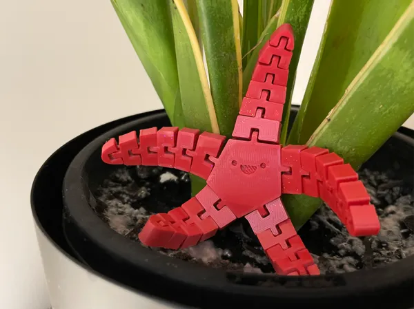 https://makerworld.bblmw.com/makerworld/model/DSM00000000597681/design/2024-08-20_0a3fc6bb6b4a78.png