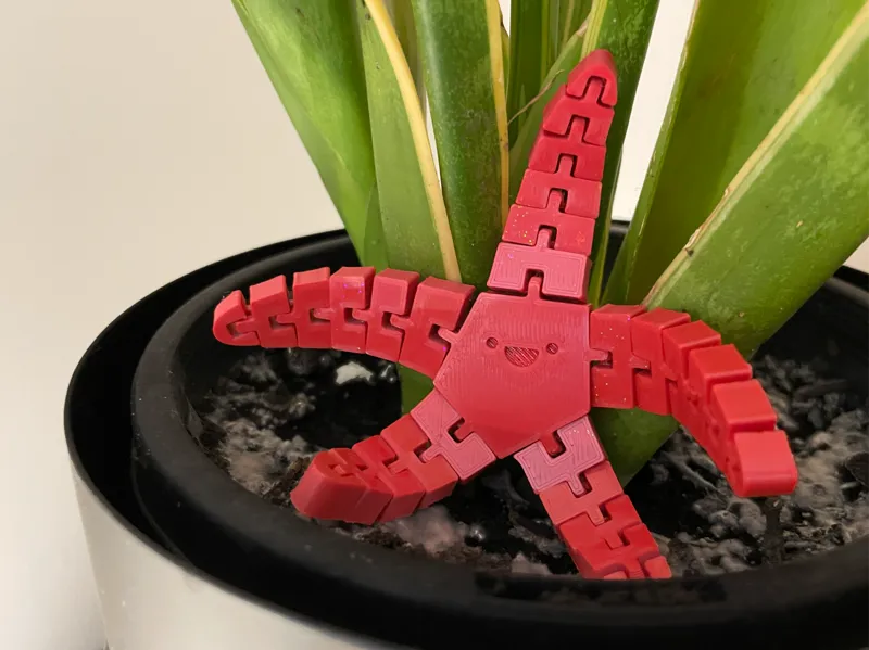 Flexi Starfish - Kawaii Smile Edition