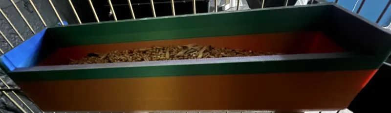 Parrot and bird food big container for cages