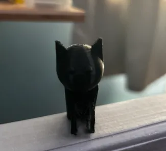 lil kitty