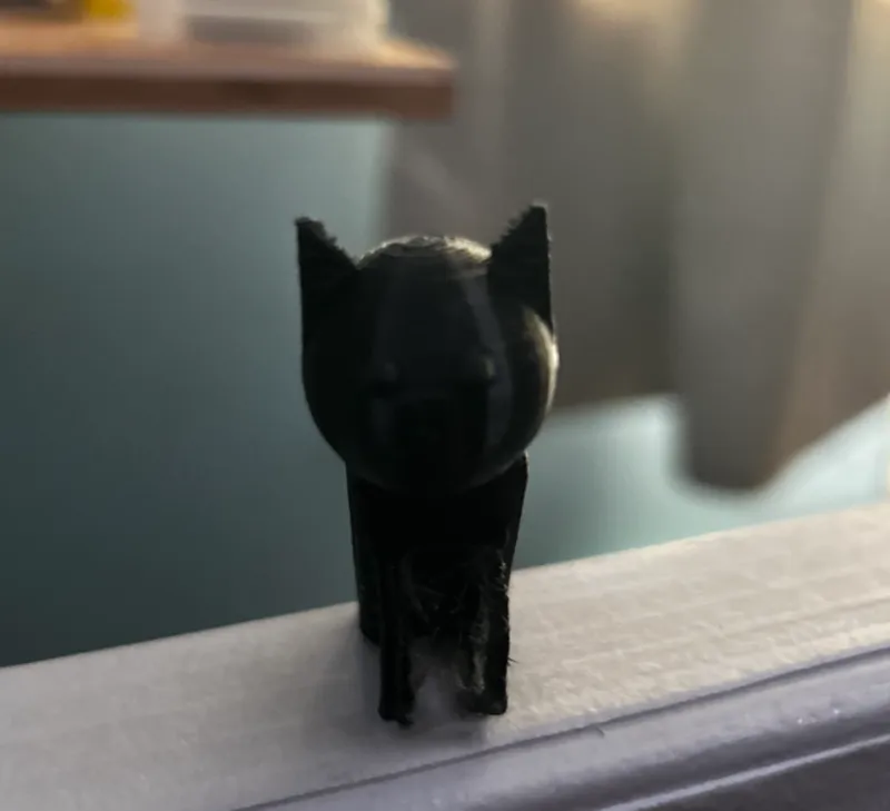 lil kitty