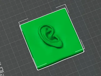 Ear Model