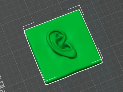 Ear Model