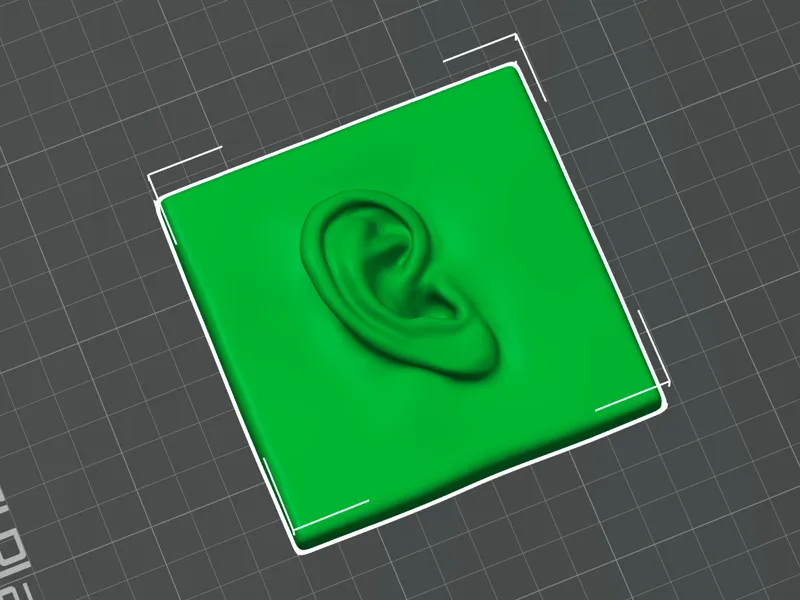 Ear Model