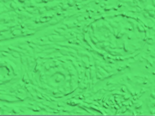 Hepatic portal triad lithopane