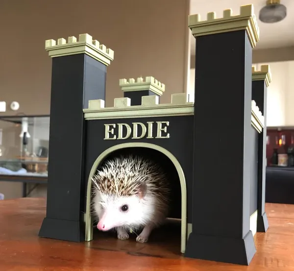 https://makerworld.bblmw.com/makerworld/model/DSM00000000601431/design/2024-08-22_ed1e1fd4b0d99.webp