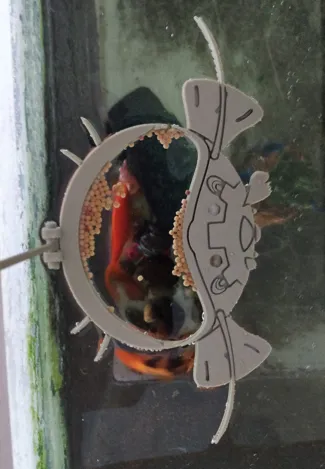 Image of Pokémon feeding pet fish