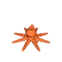 Crystal octopus