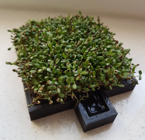 https://makerworld.bblmw.com/makerworld/model/DSM00000000605467/design/2024-08-25_bdoxtqx0imo8.jpg