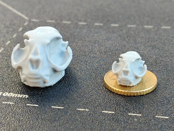 https://makerworld.bblmw.com/makerworld/model/DSM00000000605804/design/2024-08-25_79537a374904f8.jpg