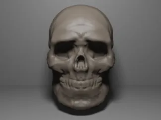 Skull