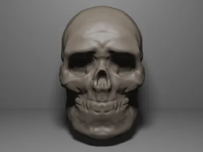 Skull