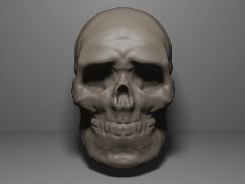 Skull