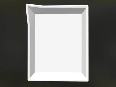 Developing tray-4:5