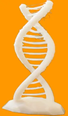 Dna Challenge