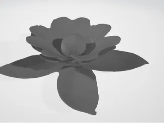 Beauty flower decoration