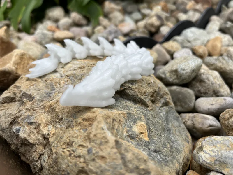 Articulated Dragon!