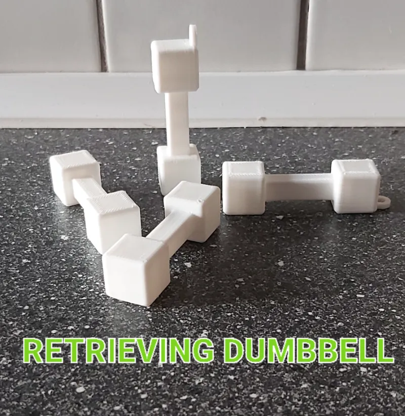 retrieving dumbbell