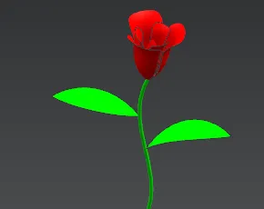 玫瑰花