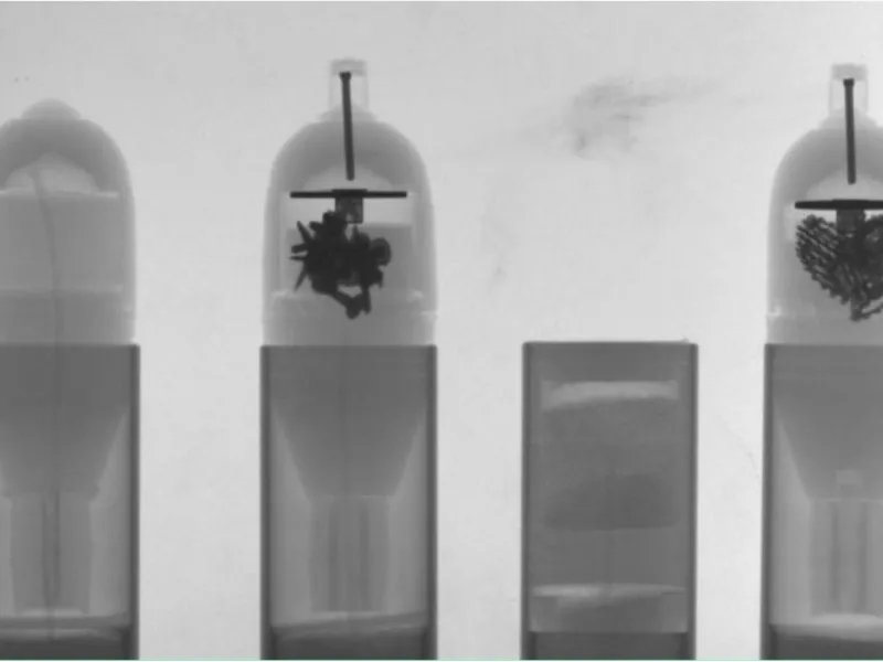 PMN-2.1