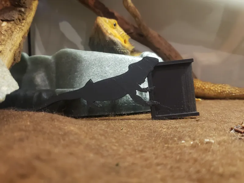 Bearded Dragon Poop Scooper