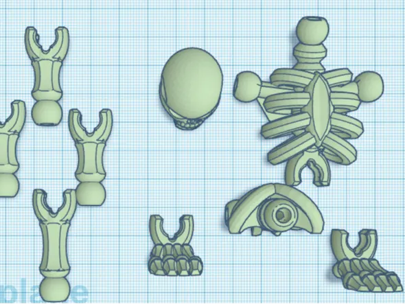 SKELTON 