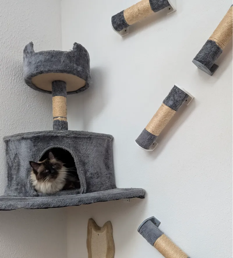 Recycled cat scratching post holder