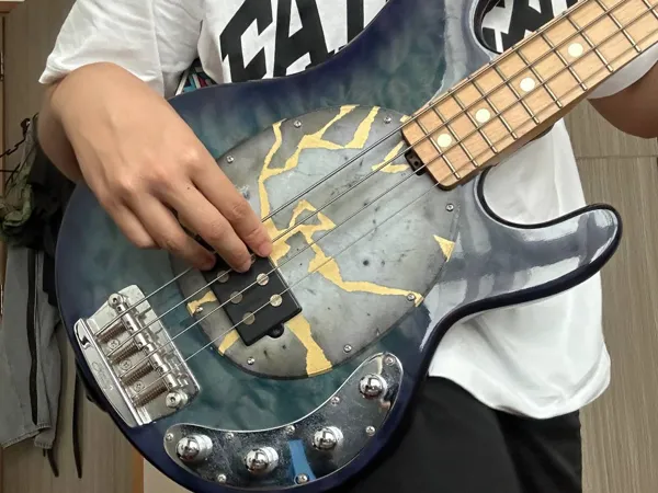 https://makerworld.bblmw.com/makerworld/model/DSM00000000613547/design/2024-08-30_0c725fe75cb1d.jpg
