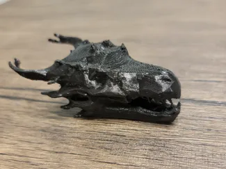 D&D Style Dragon Skull