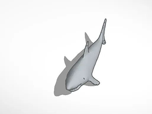 shark