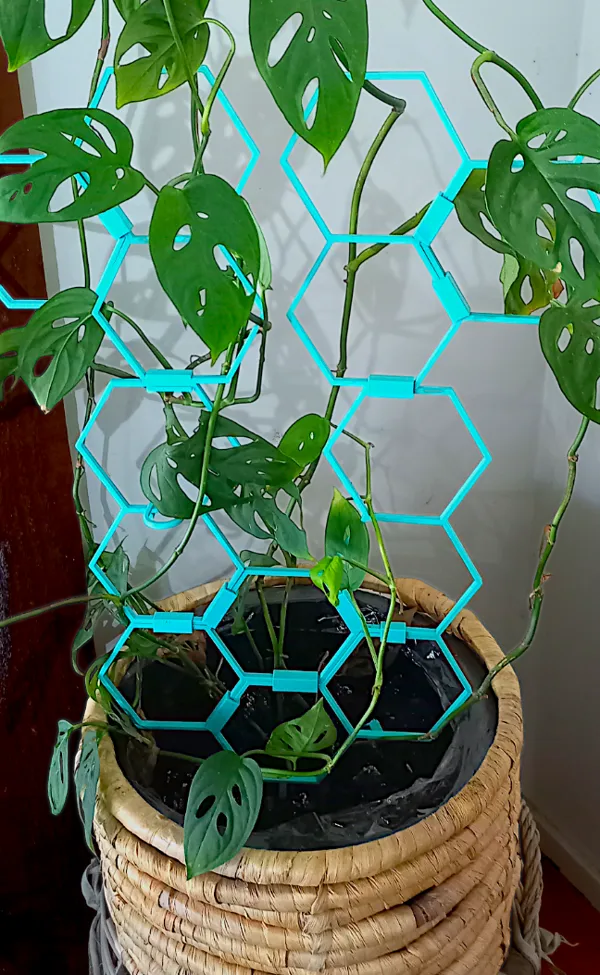 https://makerworld.bblmw.com/makerworld/model/DSM00000000616718/design/2024-09-01_377397e1ce141.png