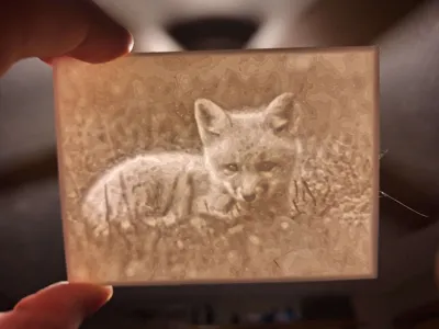 Fox Kit Lithophane