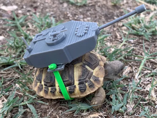 https://makerworld.bblmw.com/makerworld/model/DSM00000000618064/design/2024-09-01_b3be69bc59d2f.jpg
