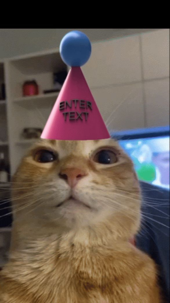 hat cat