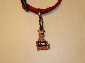 Custom Scooby-Doo tag for your dog leash