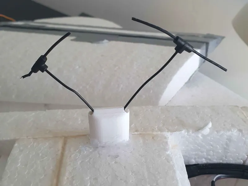 Dual elrs antenna mount