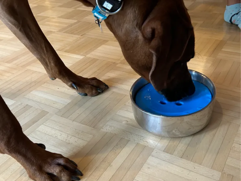 Spillprotection for waterbowl