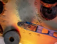 Roulette à texture argile - traces de loup — photo 1