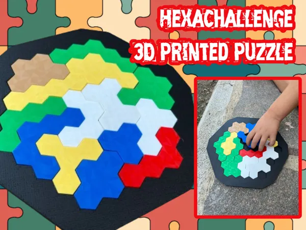https://makerworld.bblmw.com/makerworld/model/DSM00000000621040/design/2024-09-01_be63ca611662c.png