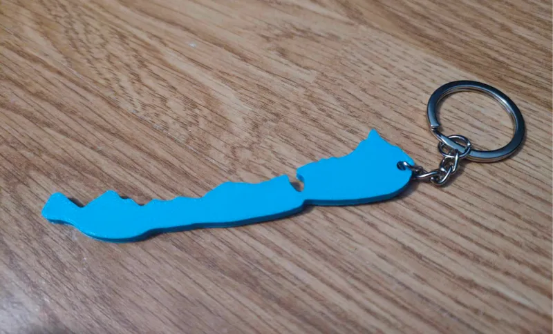 Balaton-keychain