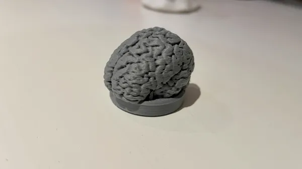 https://makerworld.bblmw.com/makerworld/model/DSM00000000622489/design/2024-09-04_5s3ts2nuk4ec.jpeg
