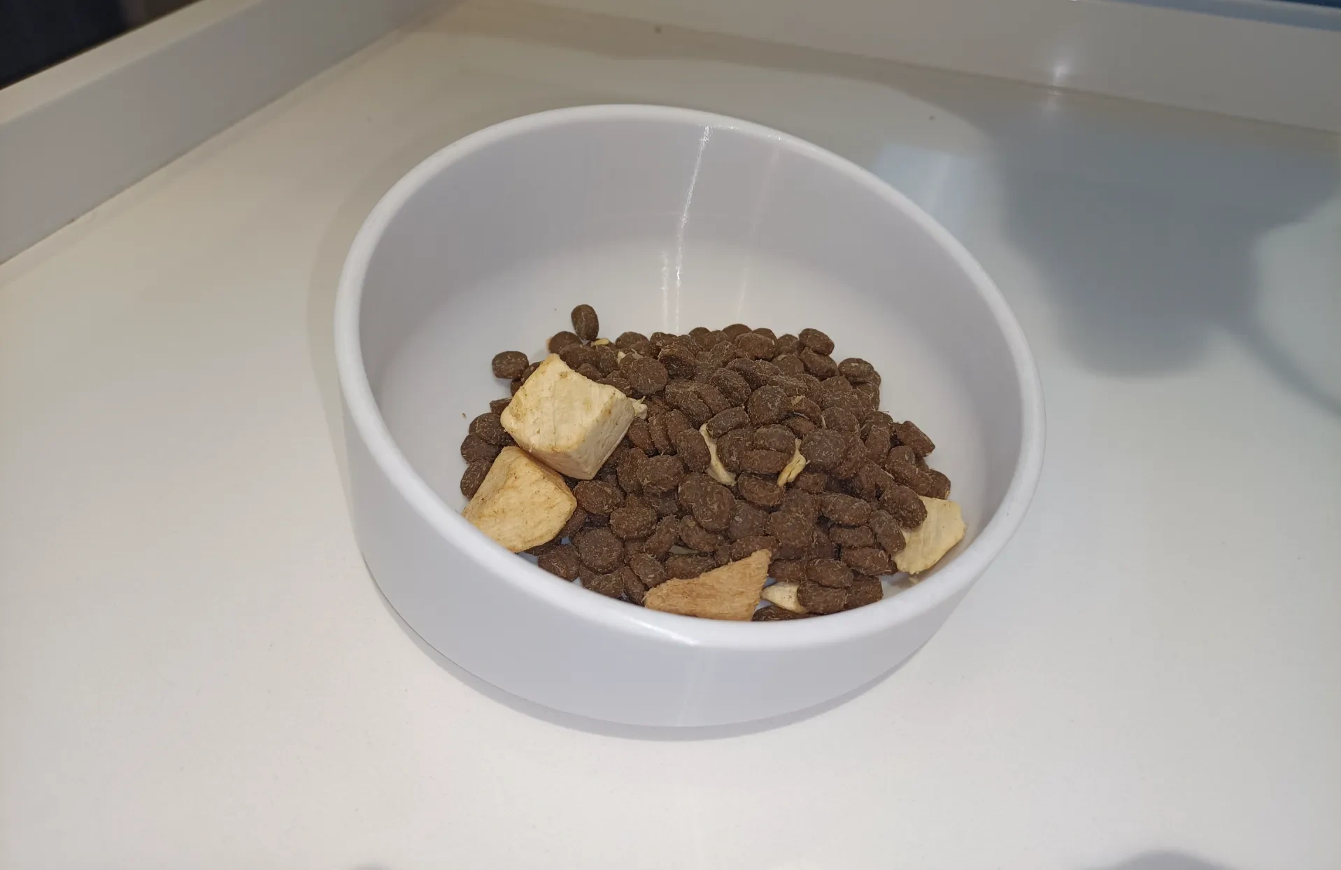 14 derece eğimli boyun koruması. Anti-ark sızıntısı köpek maması kase kedi maması kase
