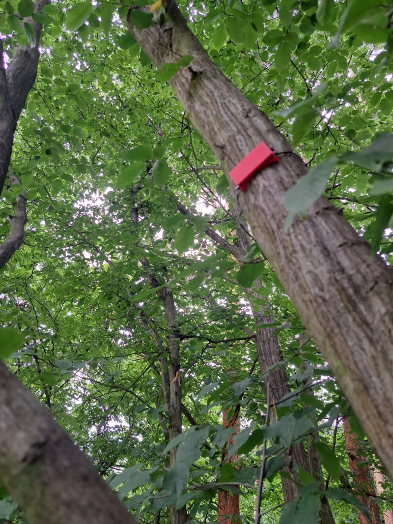 Tree attachable text
